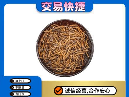 大同平城区高价回收散虫草
